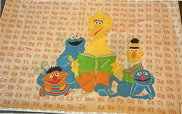 1980s Sesame Street 2 Pillowcases Alphabet Bert Earnie Big Bird Cookie VTG 38x30