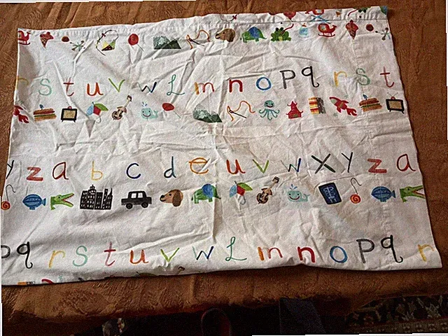 Kids Pillow Sham Alphabet Blue Multicolor Standard Cotton VGC