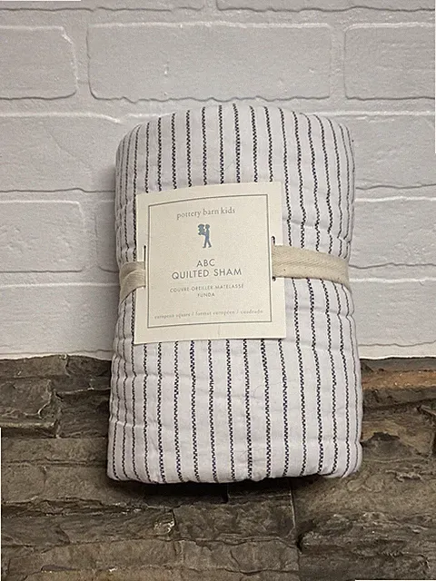 Pottery Barn Kids ABC Quilted Euro Pillow Sham NWT 26”x26”