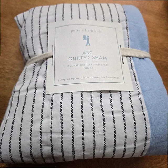 POTTERY BARN KIDS ABC QUILTED EURO SHAM ~ BLUE MULTI