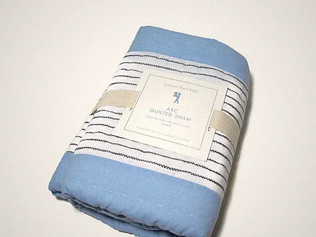 Pottery Barn Kids ABC Stripes Quilted Standard Pillow Cover Sham New