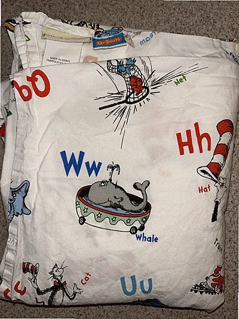 Pottery Barn Kids Dr Seuss ABC Full Size Flat Sheet & pillowcase