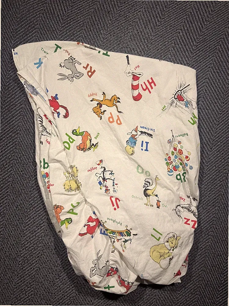 Pottery Barn Kids Dr Seuss Whimsical Alphabet Cotton Twin Flat & Fitted Sheet