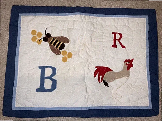 Pottery Barn Kids Quilted Sham Boys Girls ABC Alphabet Standard Size