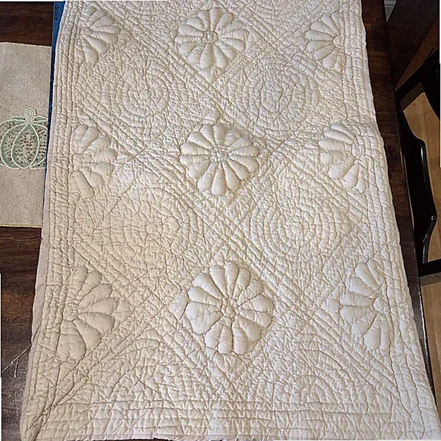 Vintage ABC CARPET & HOME king quilted Sham set beige floral NOS ELIZABETH 21x36