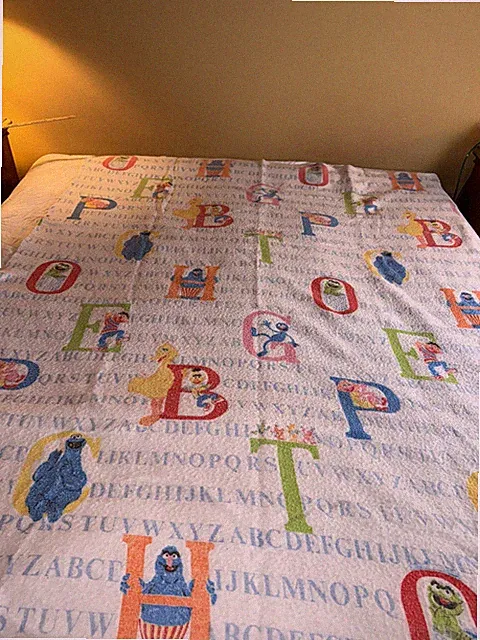 Vtg Sesame Street Alphabet Twin Size Flannel Blanket by Chatham USA